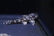 画像5: ハイセンスブリード・ワイルドL136×オマケＶｅｒII・II・4.0ｃｍ３匹セットNo5 (5)