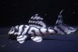 画像3: ラピッシュブリード・ワイルドL333×Gstye（JUN・ハッピーイエロー）6.0ｃｍリアルメガクラウンゼブラ (3)