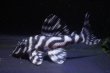 画像2: Fin第一エースの子・第２系統×オマケバージョンII・II・2025.09/6.3ｃｍNo4 (2)